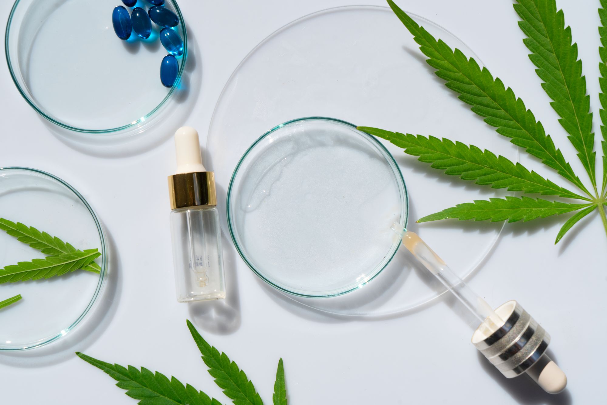 Posso tomar canabidiol com outros medicamentos? Interações e cuidados