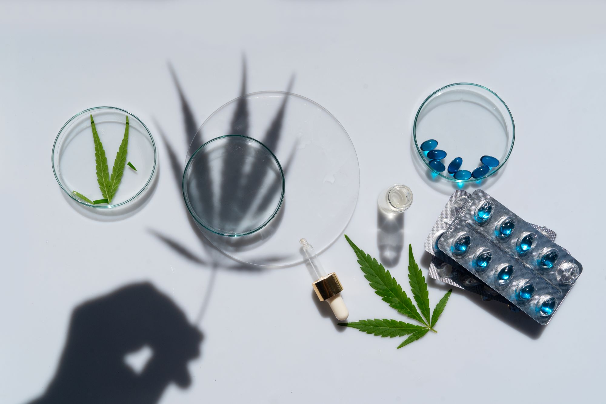 Termo de consentimento e responsabilidade na prescrição de cannabis: o que é, por que usar e como implementar na prática clínica