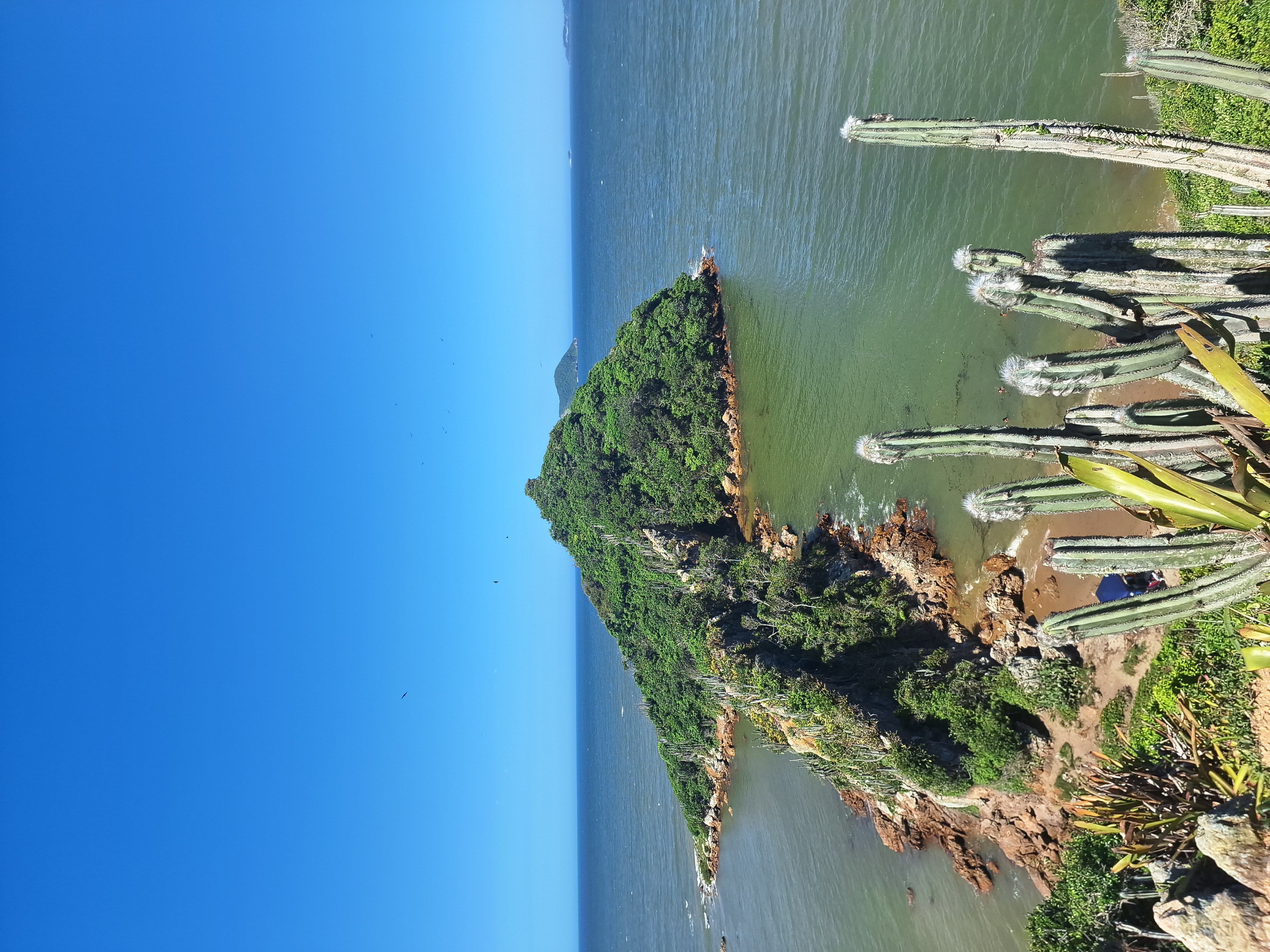 Imagem de capa do perfil de Dr. Guilherme Costa