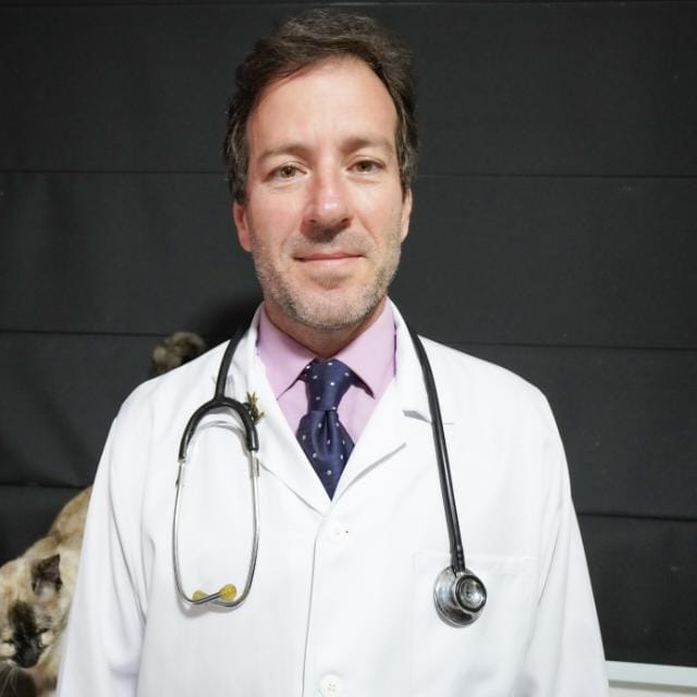 Dr. Luiz Antonio Manso Vieira Júnior, Cannabis medicinal e fitoterapia